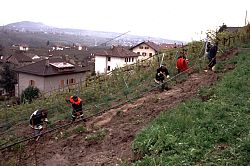 die Feuerwehr im Einsatz