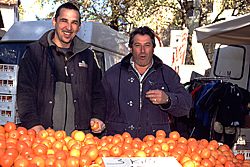 frisches Obst am Martinimarkt