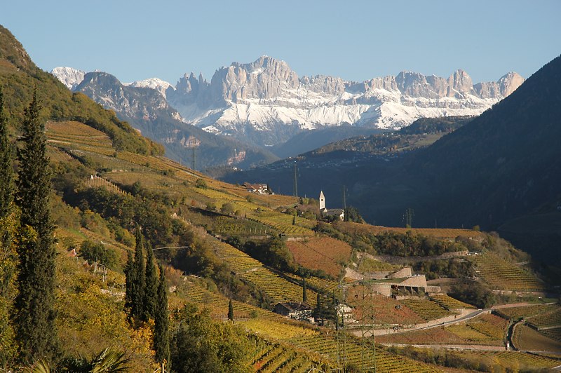 der Rosengarten im Herbst