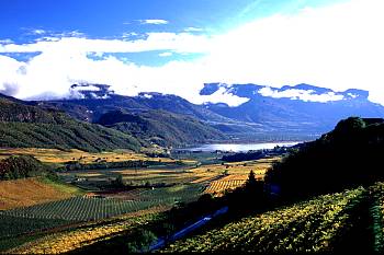 Landschaft bei Kaltern