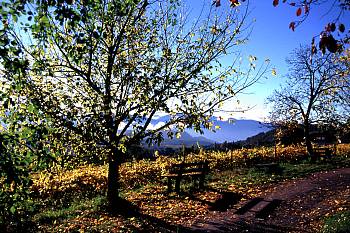 Herbst in Justina