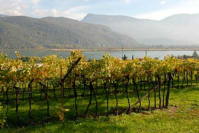 am Kalterer See 