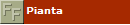 Pianta