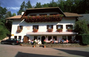 Signater Hof