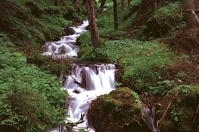 ein Wildbach bei Innichen