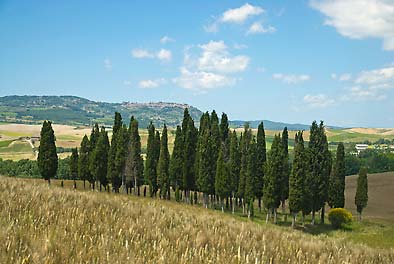 Bick auf Montalcino