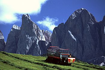 Landwirtschaft in Villn��