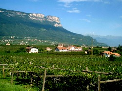 Blick auf den Gantkofel