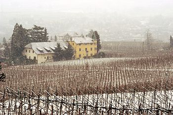 oberhalb von Tschindlhof