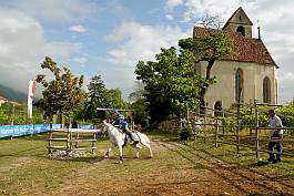 DSC_0048_bscr DSC_0048_bscr