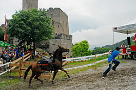 DSC_0482_bscr DSC_0482_bscr